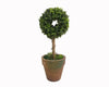 RING TOPIARY IN POT 3.25"X2.65"X8.25"H  Craft Outlet